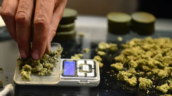 La iniciativa ha recibido el apoyo de 220 diputados de varias fuerzas políticas en Italia. Foto: AFP.