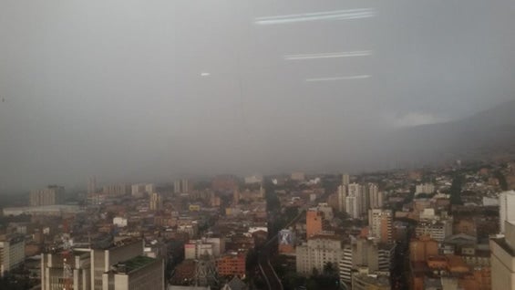 Foto: @laverdefelipe