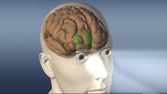 En el experimento participaron más de cien personas. AFP