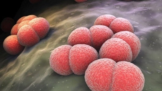 Foto: Cefes Oposiciones