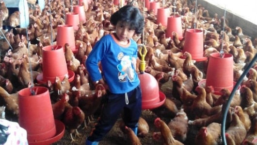 Foto Cuerpo de Bomberos de Cundinamarca