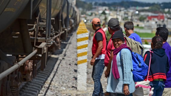 Migrantes centroamericanos junto al tren de carga apodado "La Bestia". Foto: AFP