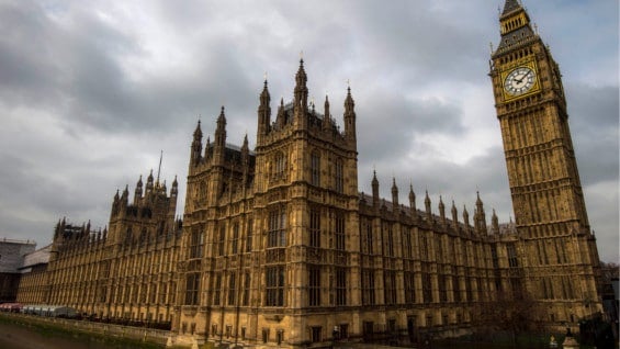 Algunas empresas podrían quedarse sin licencia si emplean a estas personas. Foto: AFP