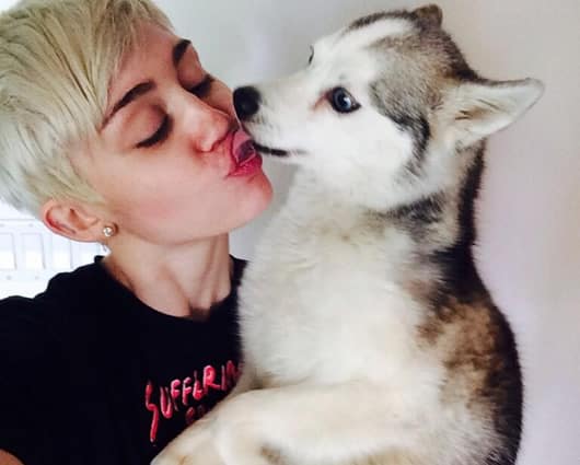 EFE Aunque la artista ha recibido cientos de mensajes de compasión, también le han llegado otros tantos de burlas. Foto: oficial