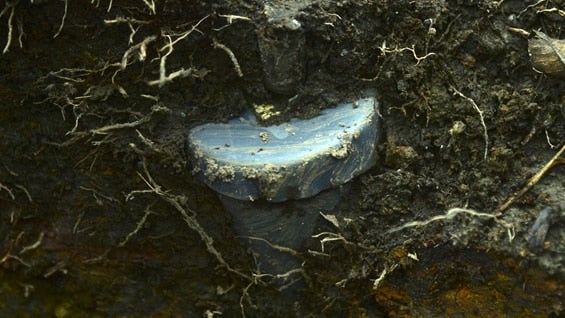 La explosión ocurrió en zona rural del municipio de Hacarí. Norte de Santander. Foto: AFP.