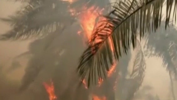 El ministerio de Ambiente y Desarrollo Sostenible, Gabriel Vallejo, aseguró que “la Fuerza Aérea, la Policía y el Ejército están apoyando como siempre” las labores que permitan mitigar las conflagraciones.