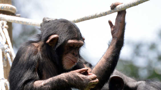 Foto de referencia. AFP