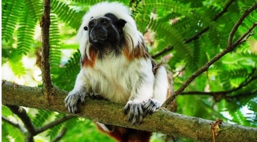 FOTO: NoticiasRCN.com