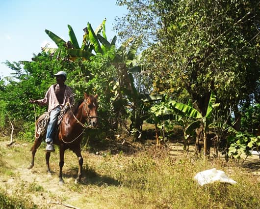 La mujer recuperará su tierra en cinco días. Foto: Observatorio del Caribe Colombiano