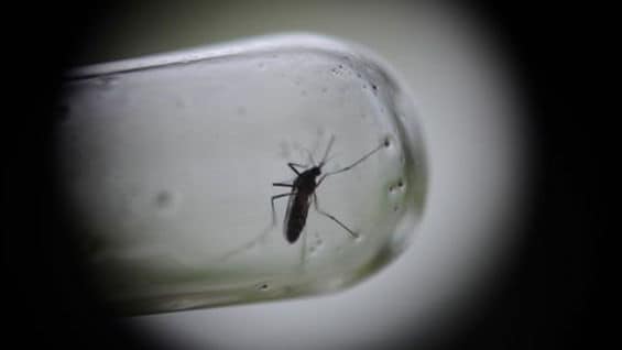 La mayor parte de los casos se han presentado en la Costa Atlántica y en el departamento de Norte de Santander.