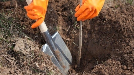 FOTO: Archivo. NoticiasRCN.com