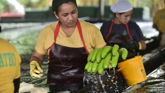 A pesar de los logros en educación que han tenido las mujeres en los últimos años, siguen ganando menos que los hombres en posiciones iguales. AFP