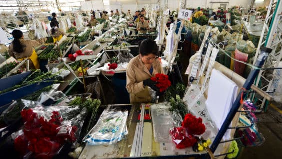 Aunque todos los años la brecha salarial es criticada no hay evidencia que esta se cierre con el tiempo. Foto: AFP