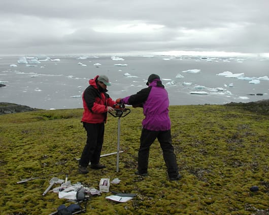 Los científicos sacando el musgo en la Antártida. Foto: Peter Boelen