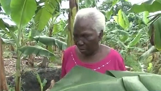 Oyola Rivas, abuela de Caterine Ibargüen. Foto: Noticias RCN.