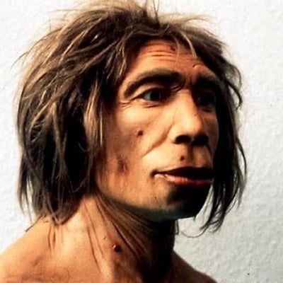 Estudio revela que el neandertal también comía vegetales | Noticias RCN