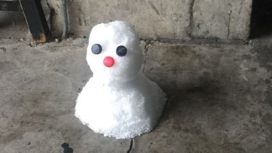 El Servicio Meteorológico Nacional no ha registrado en más de dos décadas temperaturas tan bajas en algunas regiones. Foto: AFP.