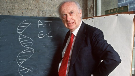 James Watson. Foto: AFP