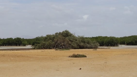 Bahía Portete Kaurrele. Foto: parquesnacionales.gov.co