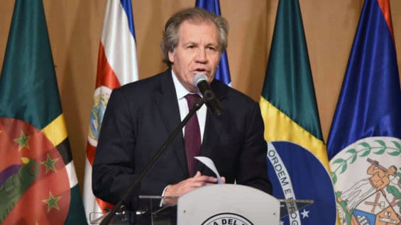Luis Almagro, secretario general de la Organización de los Estados Americanos. Foto: AFP
