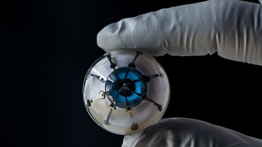 Foto:Universidad de Minnesota