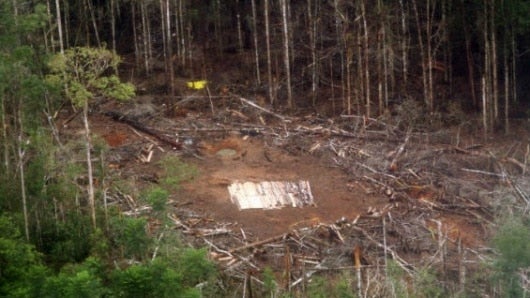 'Raúl Reyes' fue abatido en este campamento el 1 de marzo de 2008. Foto: Rodrigo Buendía / AFP
