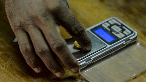 Oro recién extraído. Foto: AFP
