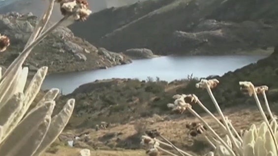 Páramo de Santurbán. Foto: NoticiasRCN