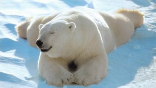 Foto: Pinterest.