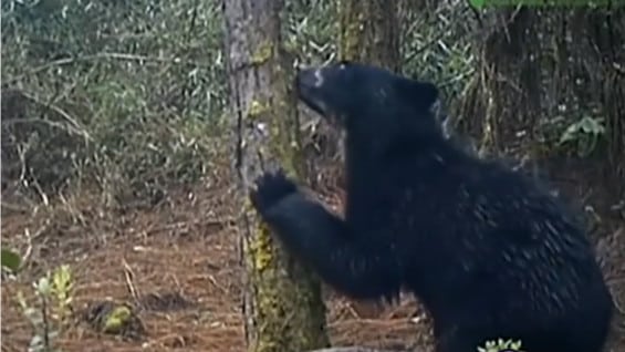 Foto: NoticiasRCN.com