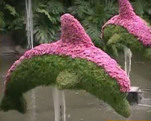La magia de la fauna y la flora la crean diferentes cultivadores y diseñadores en la Feria.