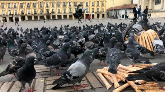 Foto: NoticiasRCN.com