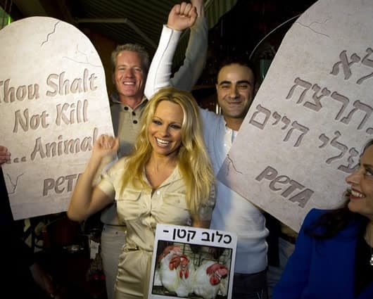 Anderson es directora honoraria de PETA (Personas a favor del Tratamiento Ético de los Animales). AFP