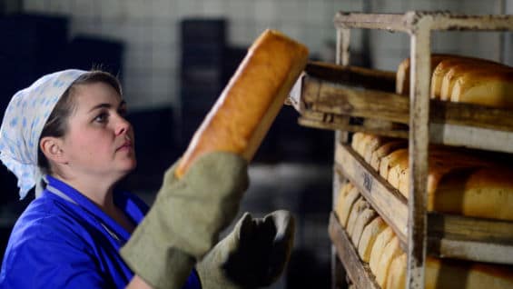 El precio del dólar viene en aumento debido a la caída de los precios del petróleo. Foto: AFP.