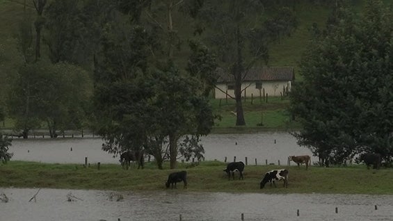 En Suesca, Chocontá, Villapinzón, Sesquilé y Nemocón 410 hectáreas siguen afectadas. Foto: Noticias RCN.