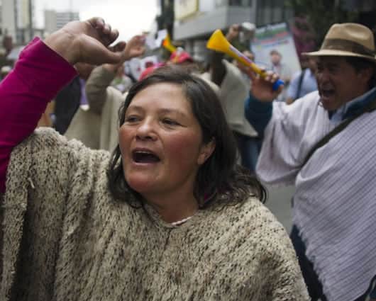 Los márgenes de utilidad para los arroceros han caído en al menos un 35 %. Foto: AFP