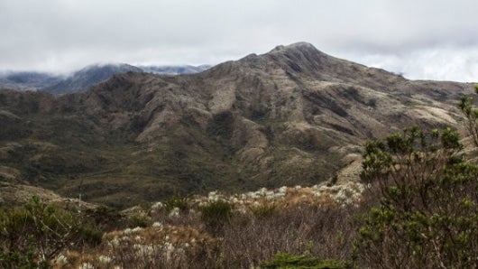 El nuevo parque cuenta con más de 4 mil hectáreas de páramo bajo protección. Foto:CAR