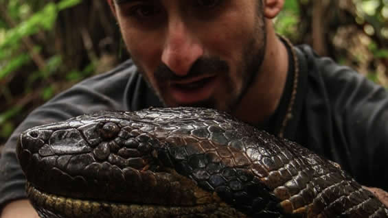 Defensores de animales han pedido que no se emita el programa. Foto: @PaulRosolie.