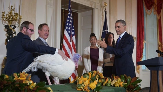 El presidente Obama perdonó al pavo Cheese durante la ceremonia anual en la Casa Blanca. Foto: AFP.