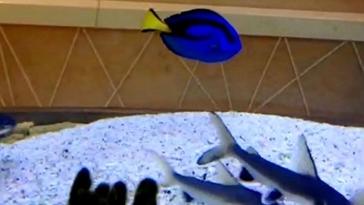 Foto: NoticiasRCN.com