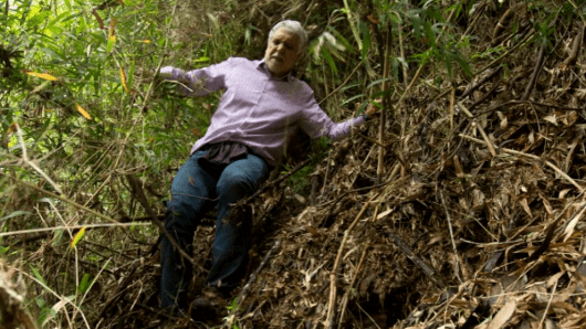 Foto: Instagram@enriquepenalosal