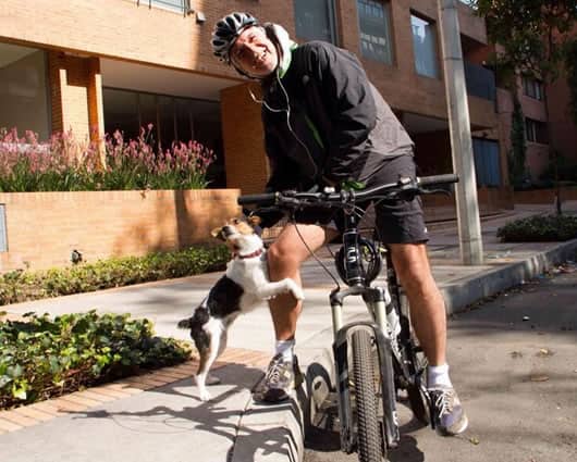 El aspirante a la presidencia de la Alianza Verde, Enrique Peñalosa. Foto: Twitter.