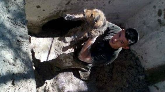 Más de cinco horas tardó el rescate de los animales. Foto Policía Nacional.
