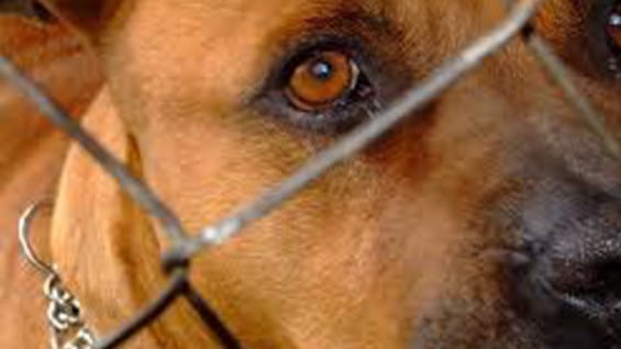 Foto: NoticiasRCN.com