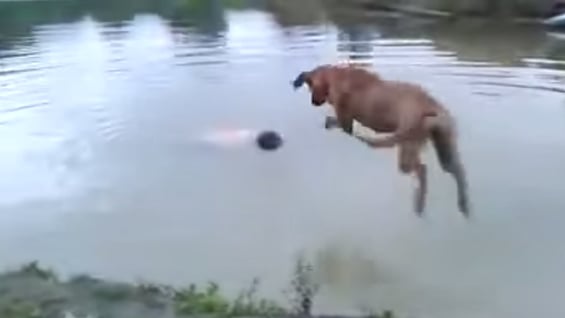 El video suma más de dos millones de visitas en Youtube.