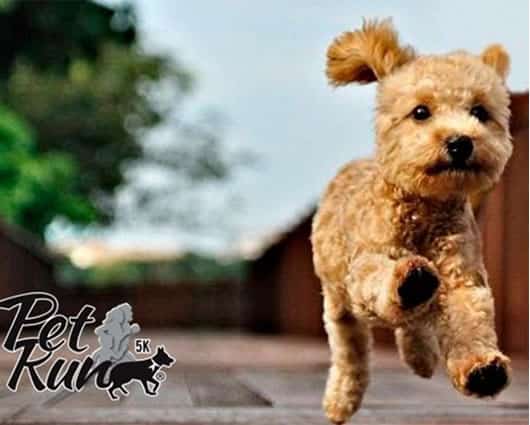 La carrera será en los alrededores del parque Simón Bolívar de Bogotá.