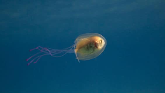 Foto tomada de timsamuelphotography.com