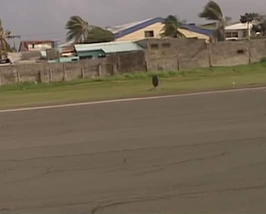 Un millón de pasajeros llegan a este aeropuerto anualmente.