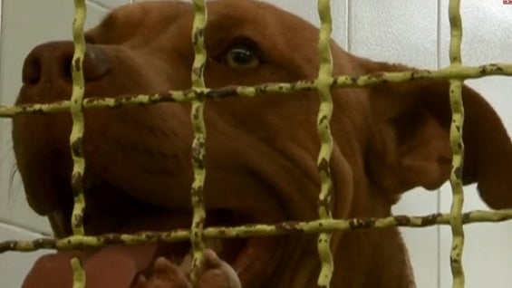 Foto: NoticiasRCN.com