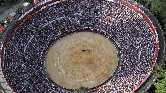 La consulta fue aprobada con 23 votos a favor y cuatro en contra. Foto: AFP.